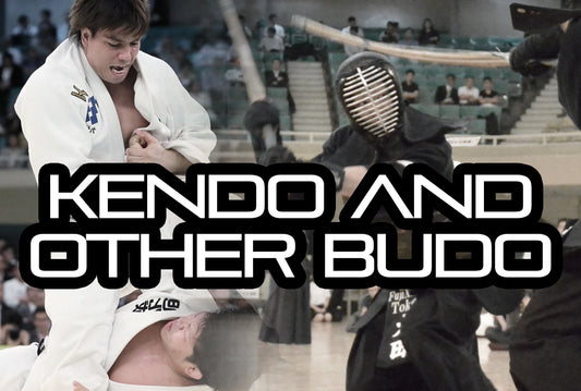 [KENDO RANT] - Kendo And Other Budo? New Shinai Maintenance?